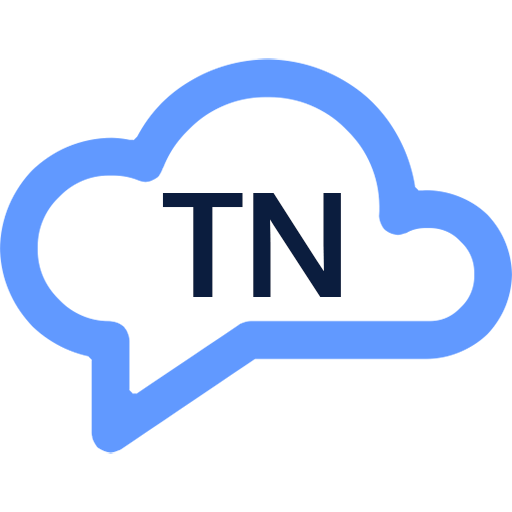 Logo Tino Nguyen